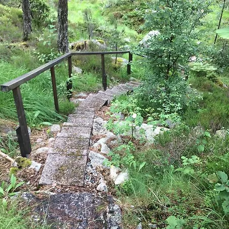Hébergement de vacances Pulpit Rock Cabin