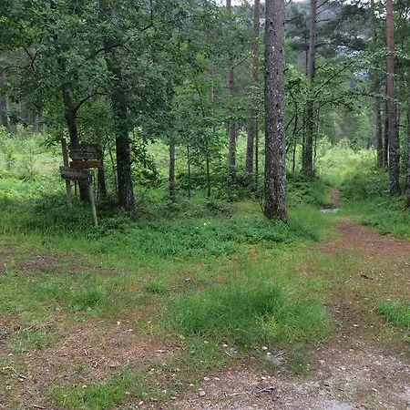 Pulpit Rock Cabin Holiday home Jorpeland